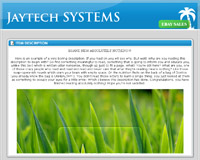 Jaytech Systems :: Ebay Auctions
